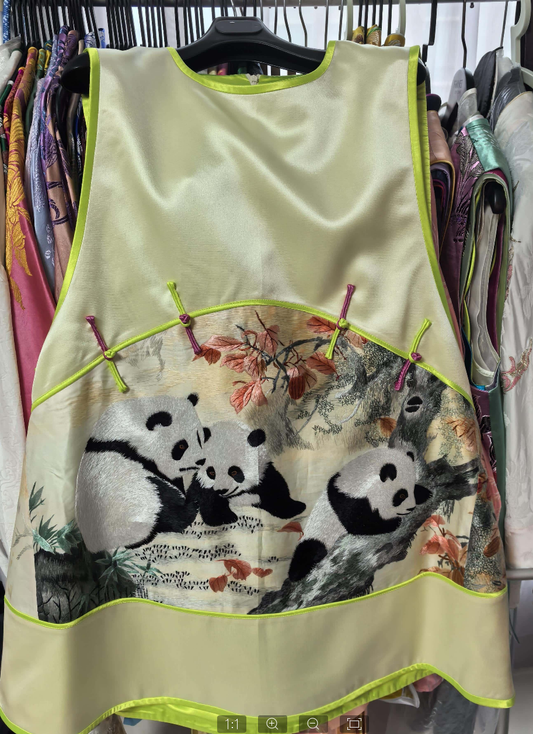 INF0057 Vest Dress